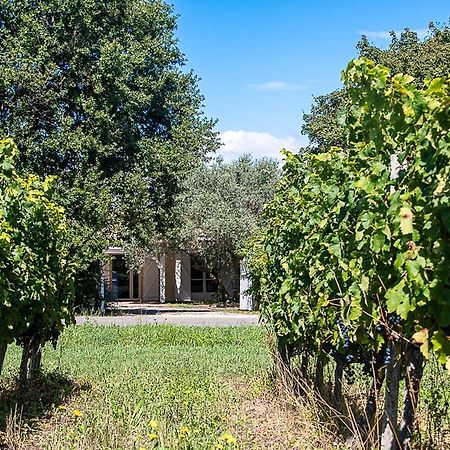 Bed and Breakfast Au détour des vignes Ordonnac Exterior foto