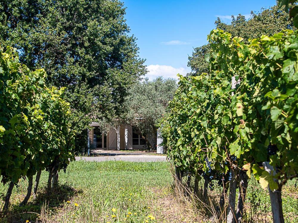 Bed and Breakfast Au détour des vignes Ordonnac Exterior foto